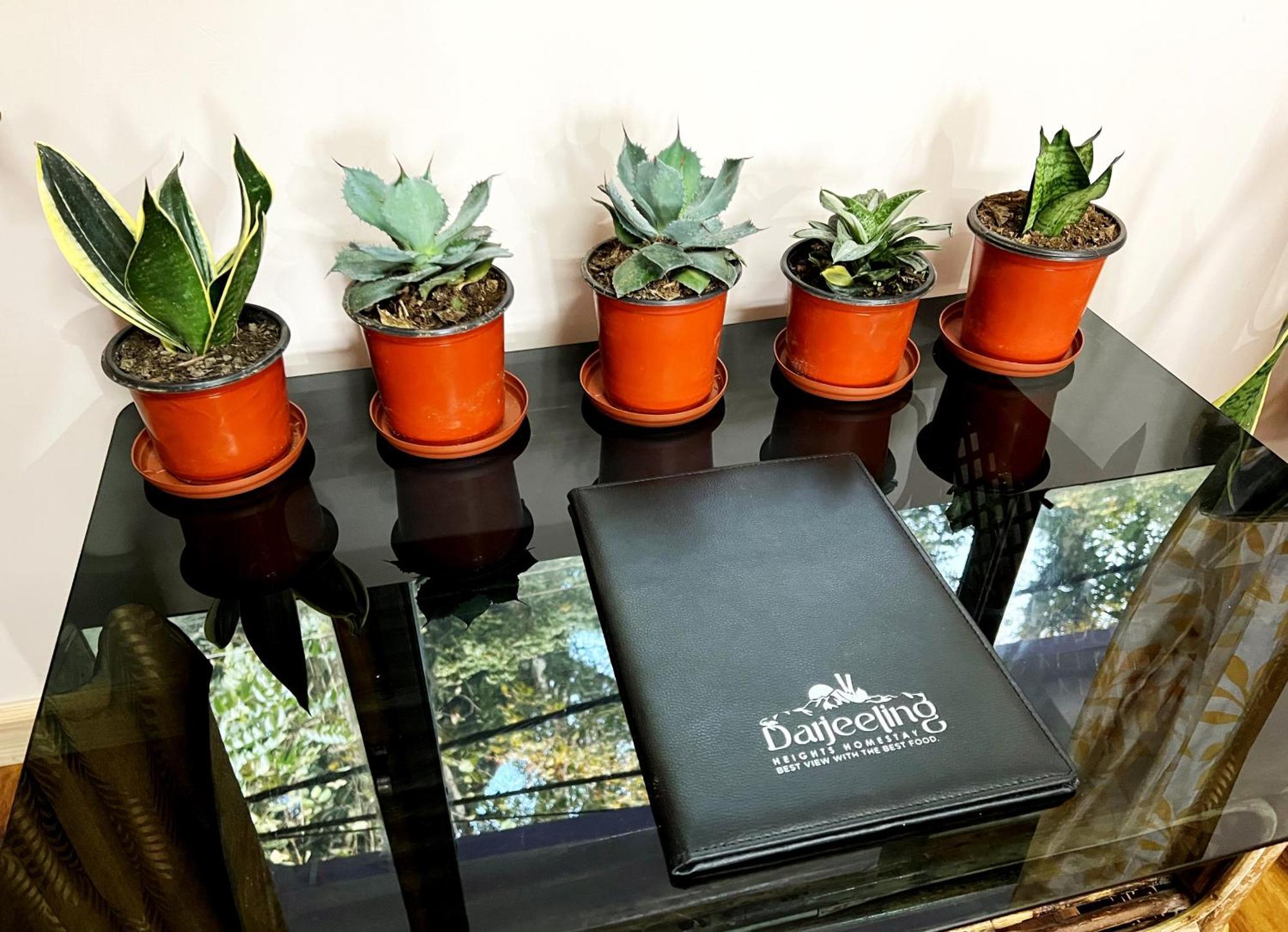 Darjeeling Heights Homestay Kamer foto